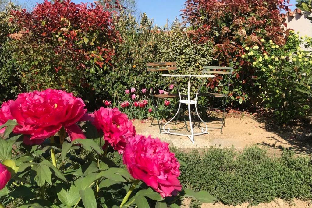 Eyzin-Pinet Le Hameau Du Buron - "Le Petit Buron" - Option Spa מראה חיצוני תמונה