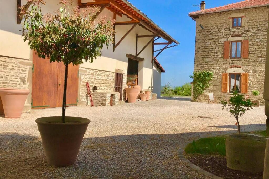 Eyzin-Pinet Le Hameau Du Buron - "Le Petit Buron" - Option Spa מראה חיצוני תמונה